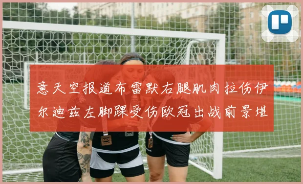 意天空报道布雷默右腿肌肉拉伤伊尔迪兹左脚踝受伤欧冠出战前景堪忧